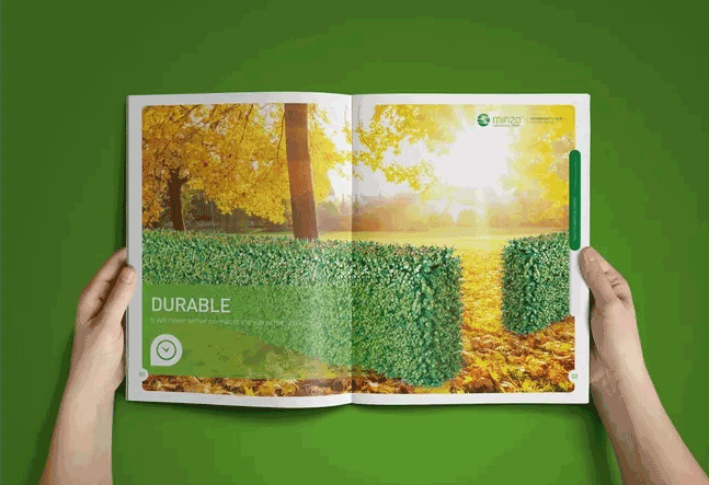 綠色主題畫冊(cè)  第5張