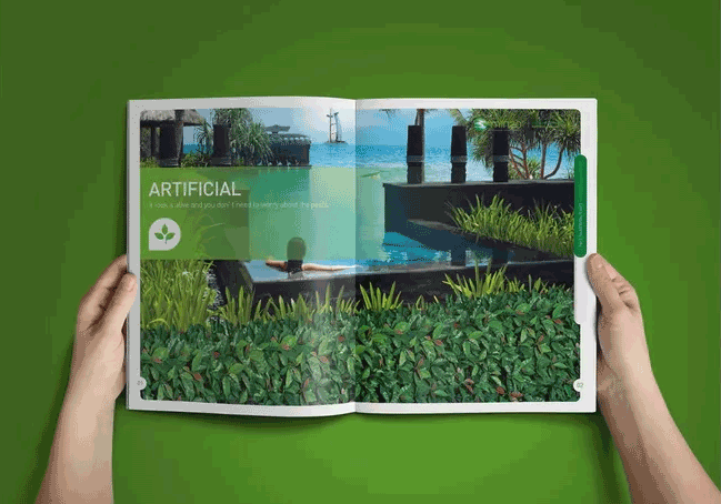 綠色主題畫冊(cè)  第3張