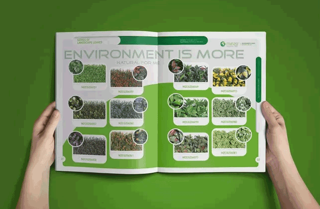 綠色主題畫冊(cè)  第7張