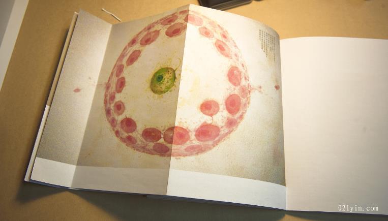 上海印刷公司-什么是重要的公司畫冊設計技巧？  第1張