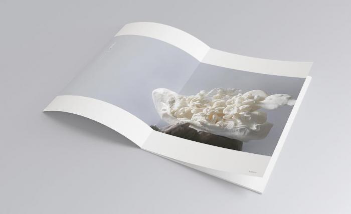 上海目錄冊印刷定制_按需排版_適配電商 / 展會 招商場景 第1張 上海目錄冊印刷定制_按需排版_適配電商 / 展會 招商場景 第1張